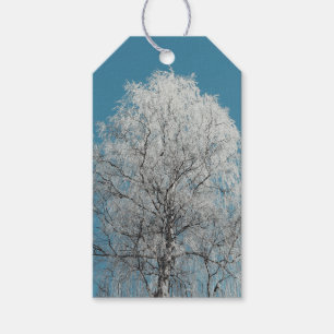 White Willow Träd mot Clouless Blå himmel Presentetikett