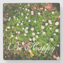 White Wood Anemone Vår blommor BE Lycklig Stenunderlägg