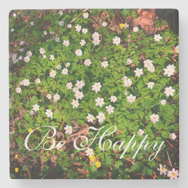 White Wood Anemone Vår blommor BE Lycklig Stenunderlägg (Framsidan)