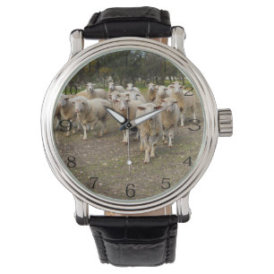 White Young Wooly Sheep Armbandsur