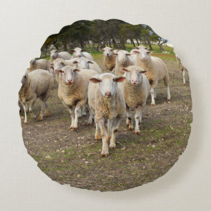 White Young Wooly Sheep Rund Kudde