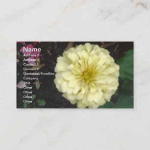 White Zinnia Visitkort