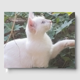 whitecat GuestBook Gästböcker