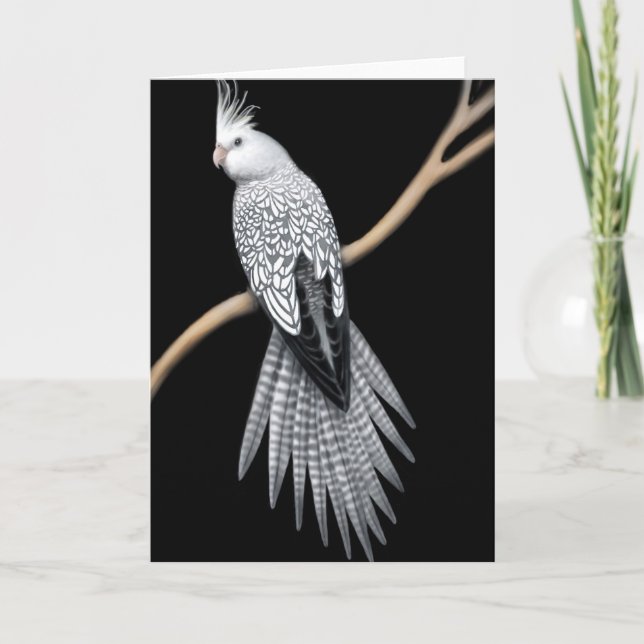 Whitefacaced Pearl Pied Cockatiel Card Kort (Framsida)
