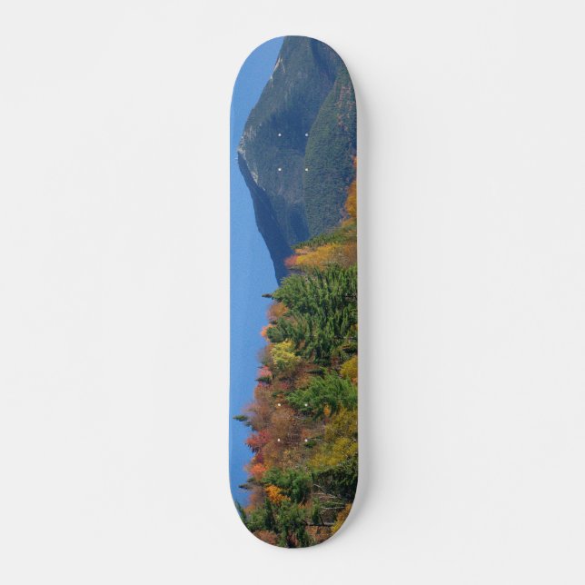 Whiteface Mountain över Little Cherrypatch Pond Skateboard Bräda 20 Cm (Framsida)