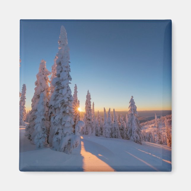 Whitefish, Montana Magnet (Framsidan)