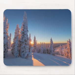 Whitefish, Montana Musmatta