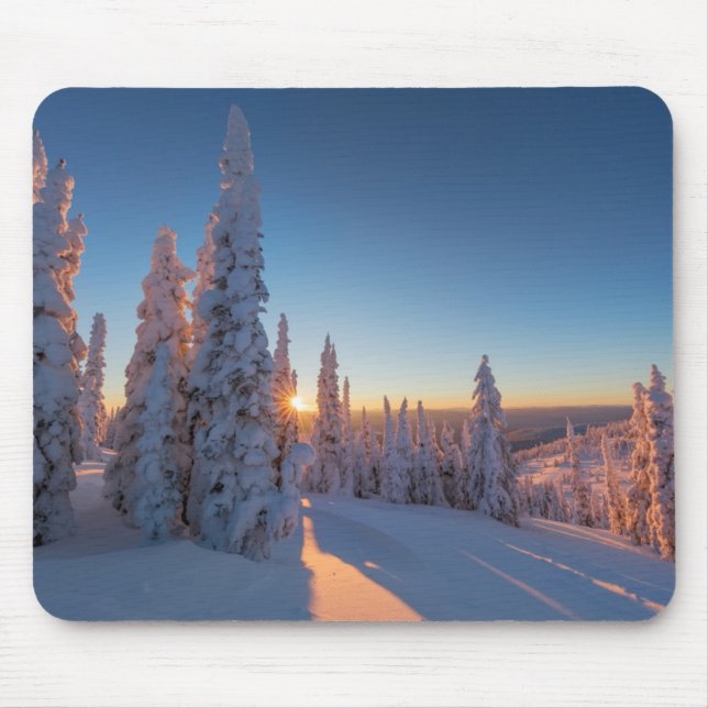 Whitefish, Montana Musmatta (Framsidan)