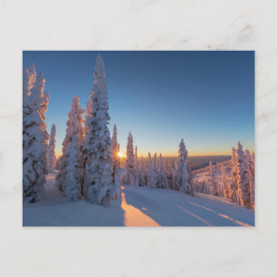 Whitefish, Montana Vykort