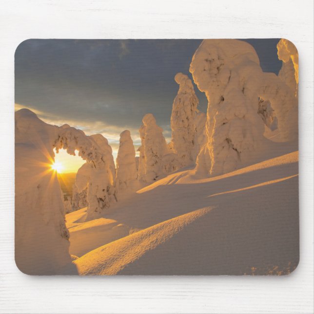 Whitefish Range | Vitfisk, Montana Musmatta (Framsidan)