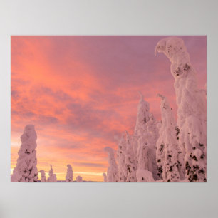 Whitefish Range   Vitfisk, Montana Poster