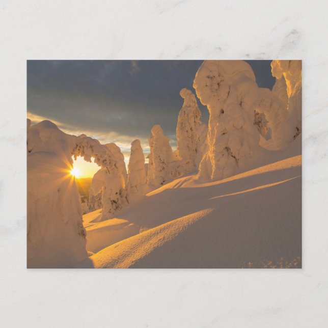 Whitefish Range | Vitfisk, Montana Vykort (Framsida)