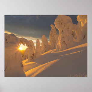 Whitefish Range   Whitefish, Montana Poster