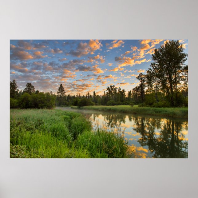 Whitefishfloden med fina moln vid soluppgången poster (Framsidan)