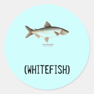 Whitefishklistermärkear Runt Klistermärke