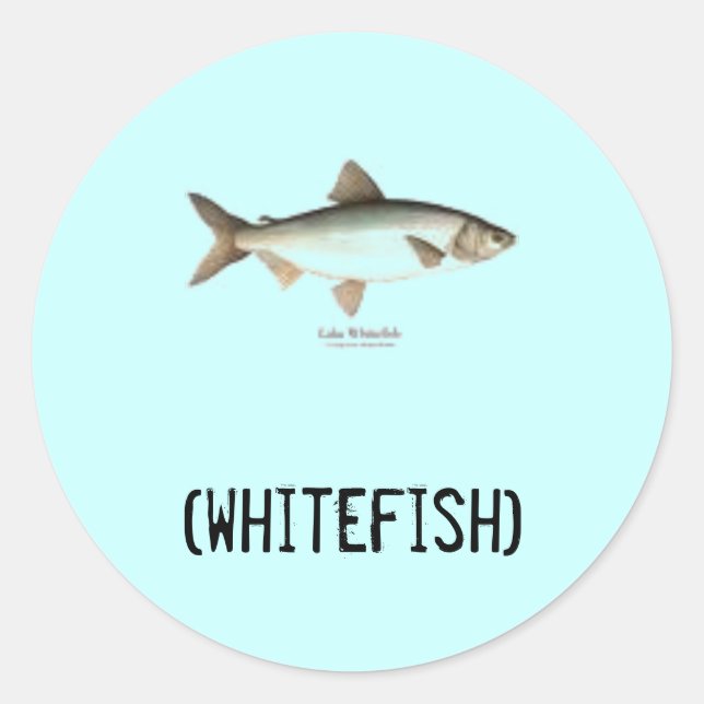 Whitefishklistermärkear Runt Klistermärke (Framsida)