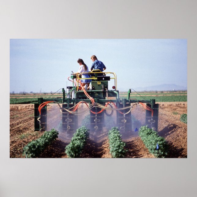 Whitefly Control Poster (Framsidan)