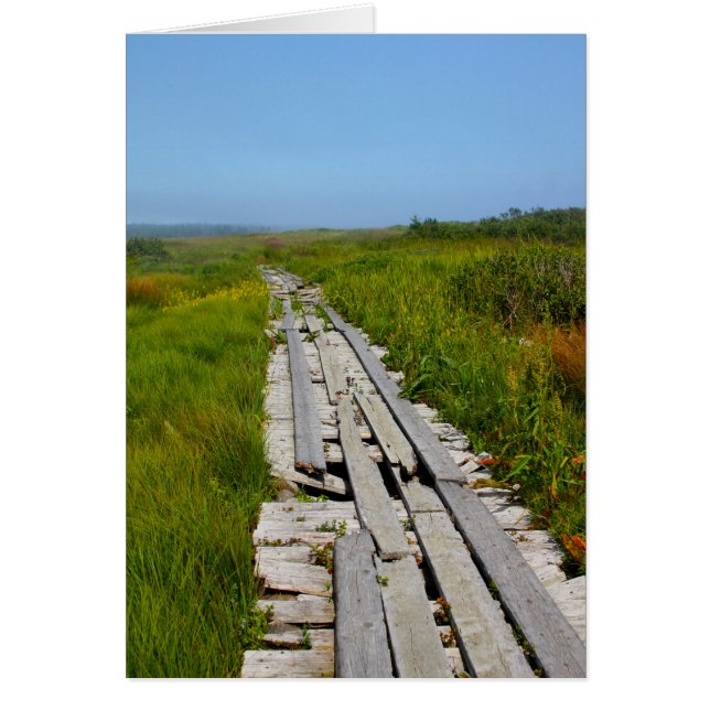 Whitehead Island, NB Hälsningskort (Framsidan)