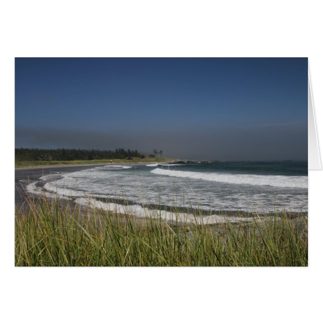 Whitehead Island, NB Hälsningskort (Framsidan Horizontal)