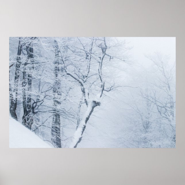 Whiteout Poster (Framsidan)