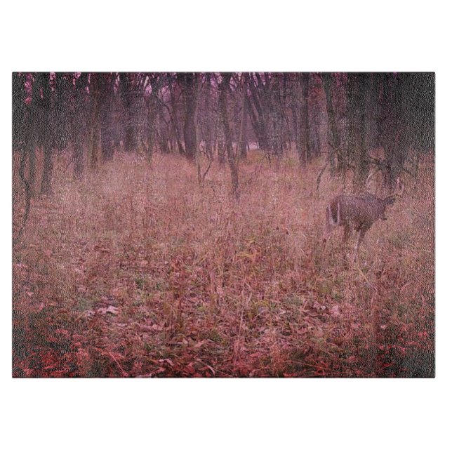 Whitetail Buck (Framsidan)