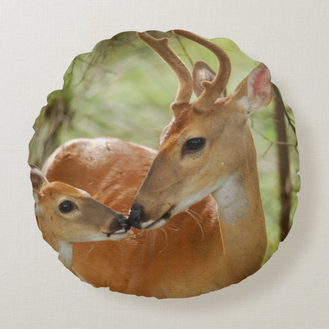 Whitetail Buck and Fawn Bonding Rund Kudde (Framsidan)