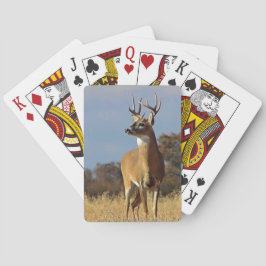 Whitetail Buck Casinokort