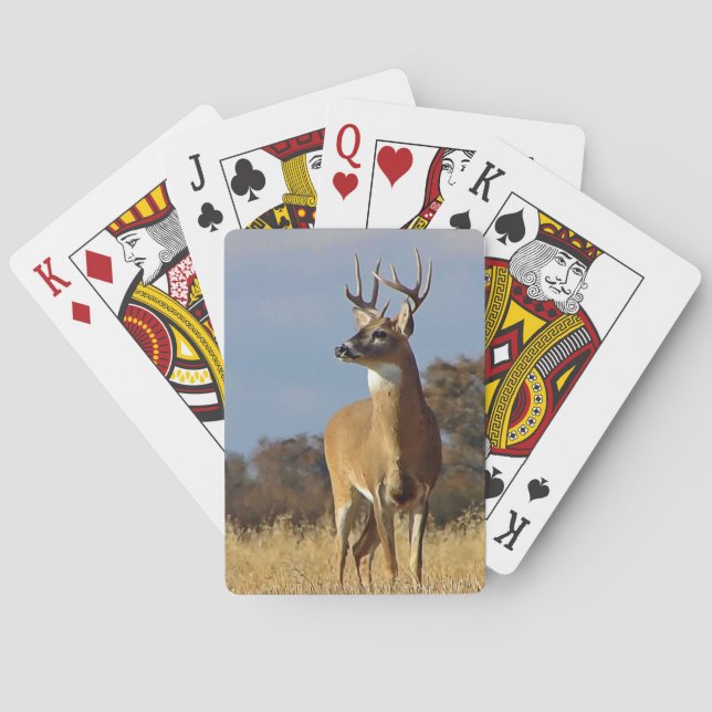Whitetail Buck Casinokort (Baksidan)