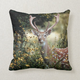 Whitetail Buck fantastisk jakt Kudde