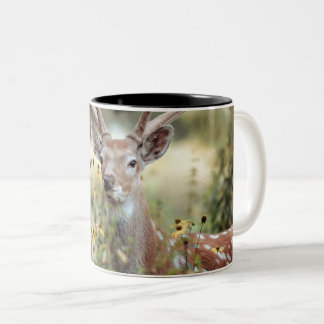 Whitetail Buck fantastisk jakt Två-Tonad Mugg