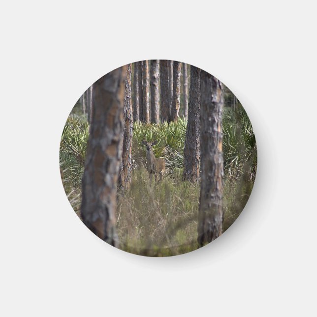 Whitetail Buck fotomagnet Magnet (Framsidan)