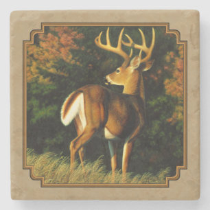 Whitetail Buck Hjort Hunting Tan Underlägg Sten