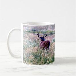 Whitetail Buck i Fält Mugg under sommaren