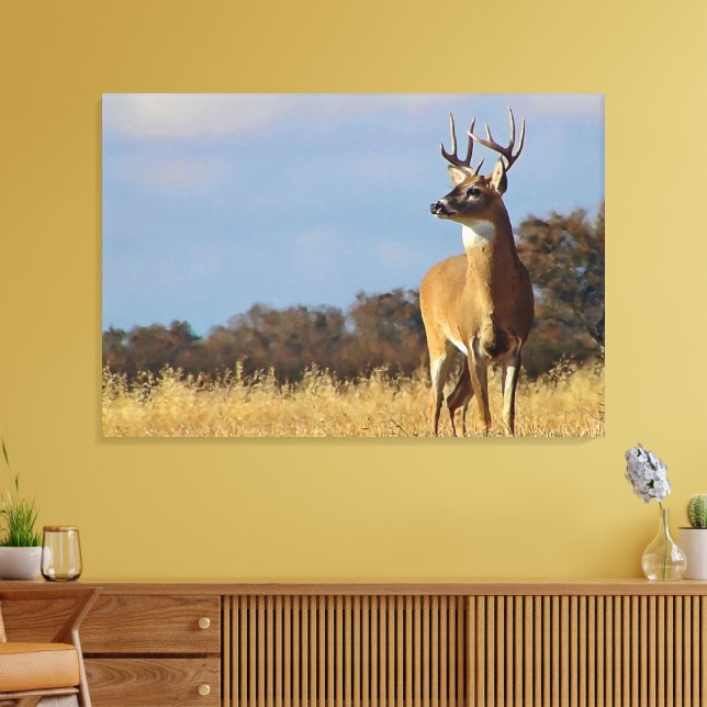 Whitetail Buck Kanvastryck (Insitu (Vardagsrum))