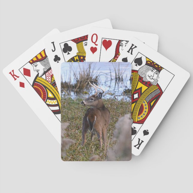 Whitetail Buck-kort Casinokort (Baksidan)