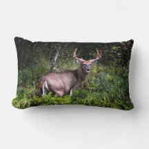 Whitetail Buck Lumbar Pillow