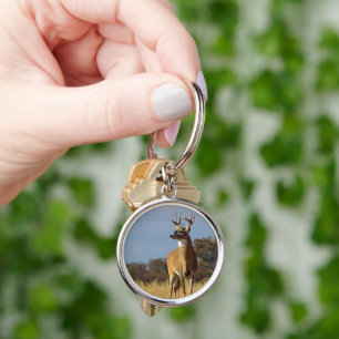 Whitetail Buck Nyckelring