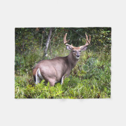 Whitetail Buck Photography Fleecefilt
