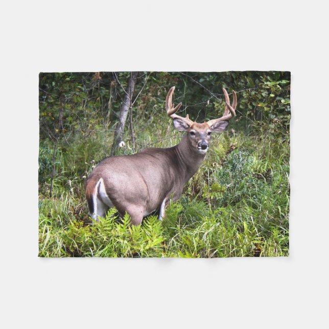 Whitetail Buck Photography Fleecefilt (Framsidan (Horisontell))