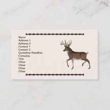 Whitetail Buck