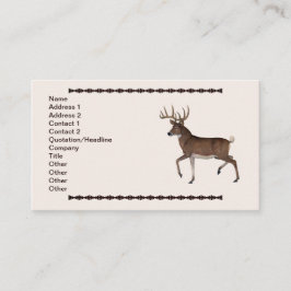 Whitetail Buck Visitkort