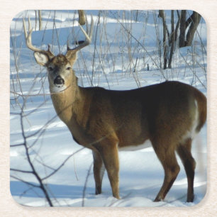 Whitetail Buck Winter Underlägg Papper Kvadrat