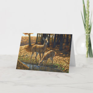 Whitetail Doe and Fawn Drinking från en ström Kort