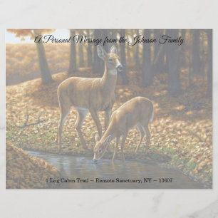 Whitetail Doe and Fawn Drinking från Stream Lett Brevhuvud