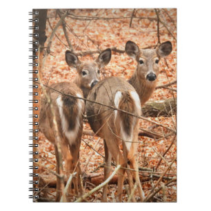 Whitetail Doe och hennes Fawn på hösten Skogen Anteckningsbok