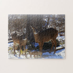 Whitetail Hjort 11x14 Photo Puzzle med Gift Box Pussel
