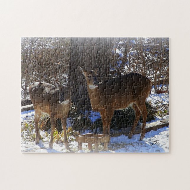 Whitetail Hjort 11x14 Photo Puzzle med Gift Box Pussel (Horisontell)