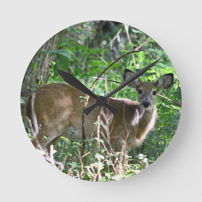 Whitetail Hjort Acrylic Wall Clock Rund Klocka (Framsida)