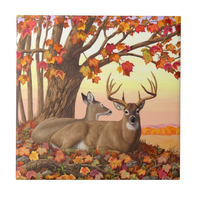 Whitetail Hjort Autumn Maple Träd Kakelplatta (Framsidan)