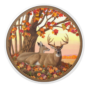 Whitetail Hjort Autumn Maple Träd Knopp